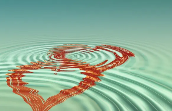 Barbados Bingo Casino Support